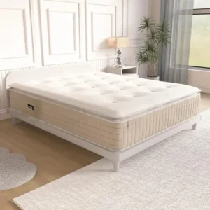 Encapsulation 3000 Mattress